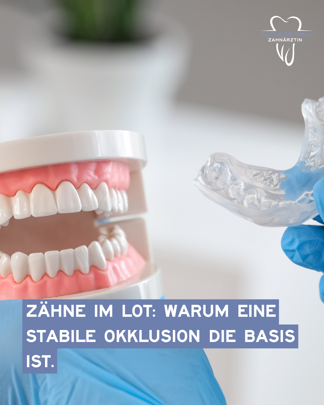 Das Bild zeigt das Modell eines Gebisses und eine Beißschiene. Symbolisch für: Zähne im Lot Warum eine stabile Okklusion die Basis ist